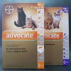 ADVOCATE 6 pipette gatti piccoli - Prodotti per animali - Cani e gatti