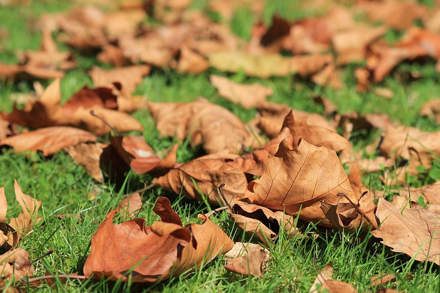 Autunno: rimedi contro la caduta dei capelli - Articoli & News - Farmabeauty