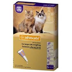 ADVOCATE 6 pipette gatti grandi - Prodotti per animali - Cani e gatti