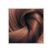 Bionike shine-on trattamento colorante capelli -castano dorato 4.3 - Salute capelli - Tinture