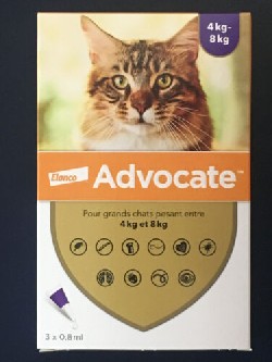 Advocate gatti grandi da 4 a 8 kg. 2 pipette - Prodotti per animali - Cani e gatti