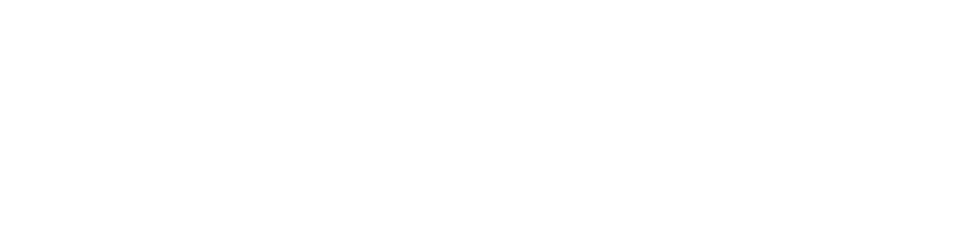 Bionike